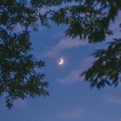 ����//������������������/