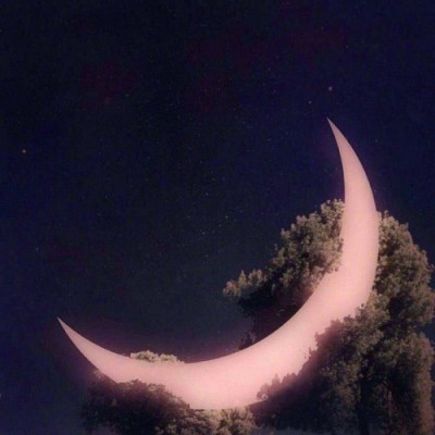 ����//������������������/