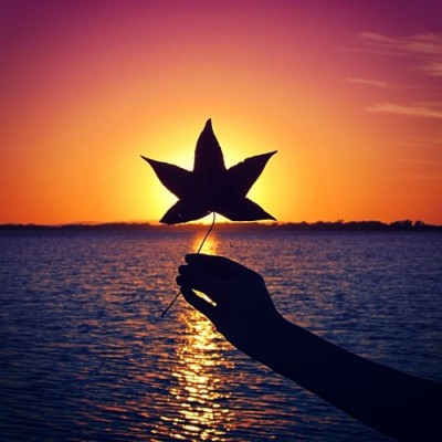 ΢��ͷ�� �ɷ� û������������úܺ�?