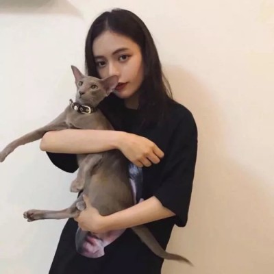 ��ͷ.����ĺ�����