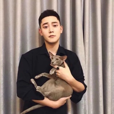 ��ͷ.����ĺ�����