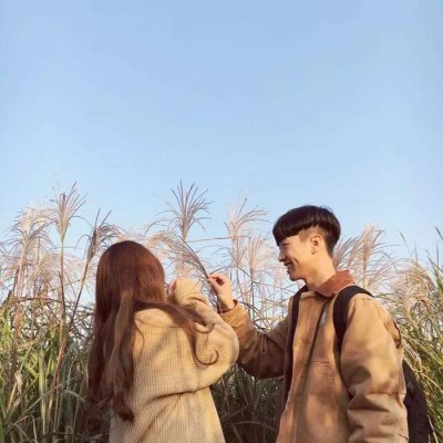 ��ͷ.����ĺ�����