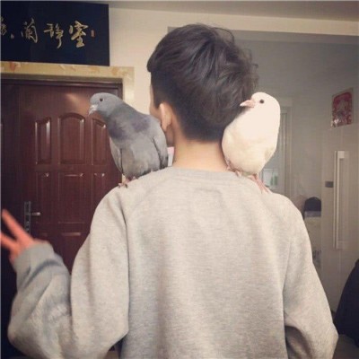 FATHE/����/����/����/������ͷ