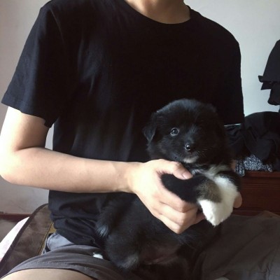 ����:��λ��ͷ/�����˲������¼���