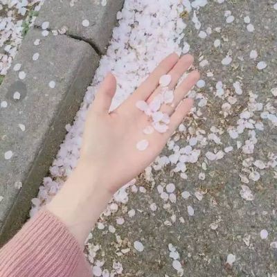 ����  �ֿظ���/���������ĵ��¶�