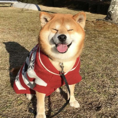 �ձ�΢Ц��Ȯ