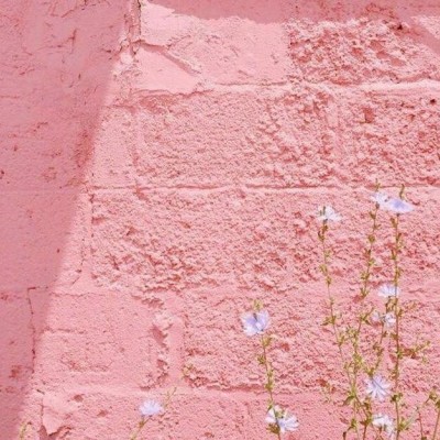 ��Ů�ı���ͼ.�Ĵ�м� ����������