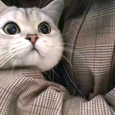 �����������ŷ�/��ͷ��