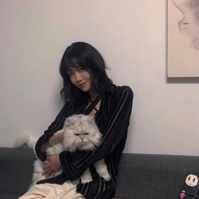 ��������  �ұ㰲��