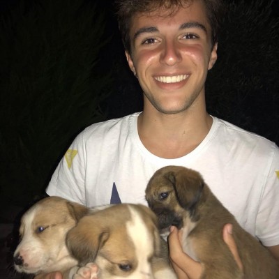 �þ�û������