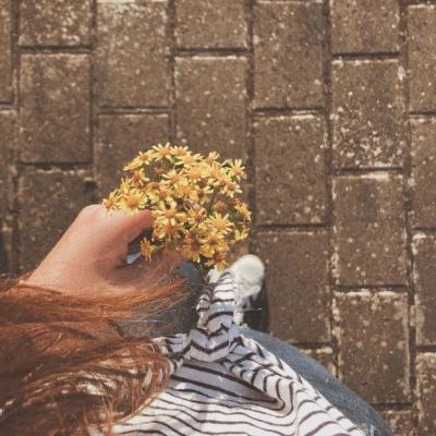 ΢��ͷ��Ψ���⾳       ĺ������