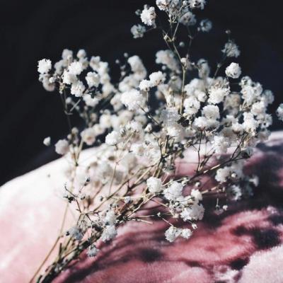 ΢��ͷ��Ψ���⾳       ĺ������