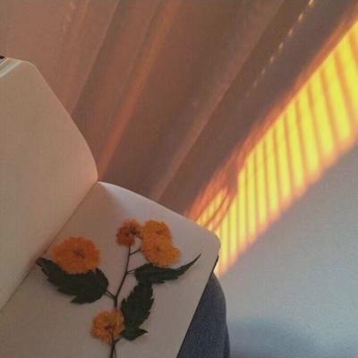 ΢��ͷ��Ψ���⾳       ĺ������