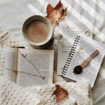 ΢��ͷ��Ψ���⾳       ĺ������