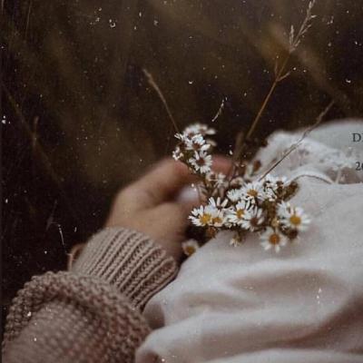 ΢��ͷ��Ψ���⾳       ĺ������