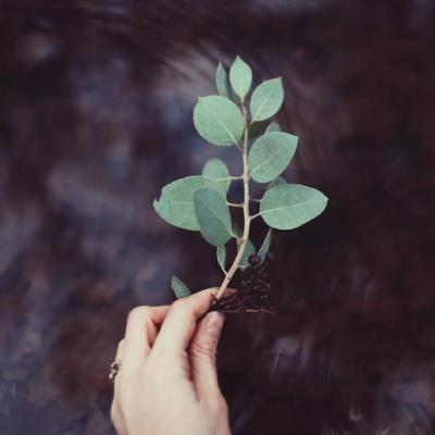 ΢��ͷ��Ψ���⾳       ĺ������