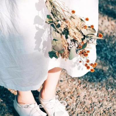 ΢��ͷ��Ψ���⾳       ĺ������