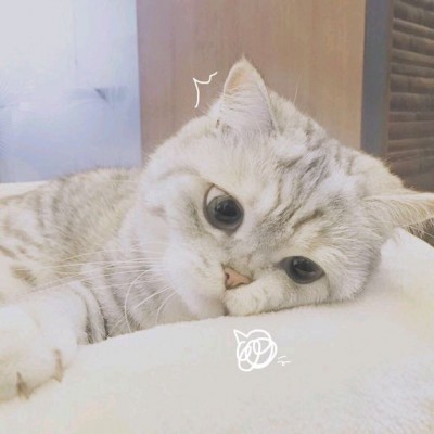 ����/��ͷ�����������յ�С������~