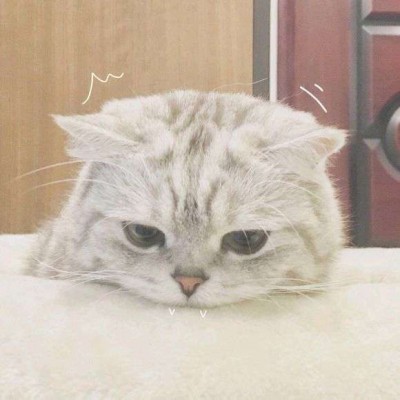 ����/��ͷ�����������յ�С������~