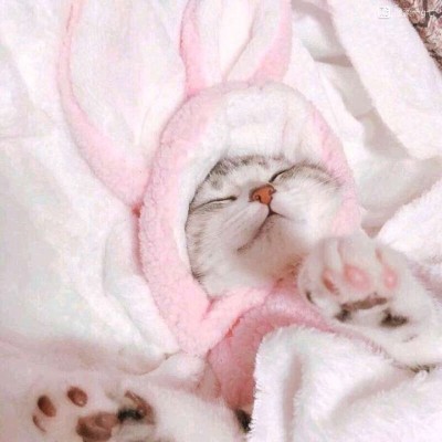 ����/��ͷ�����������յ�С������~