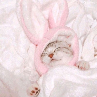 ����/��ͷ�����������յ�С������~