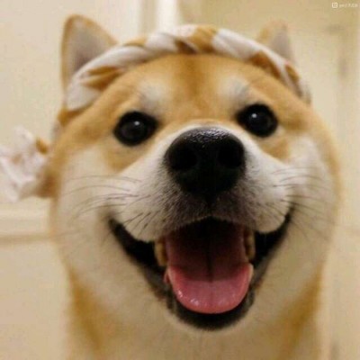 ����/��ͷ�����������յ�С������~