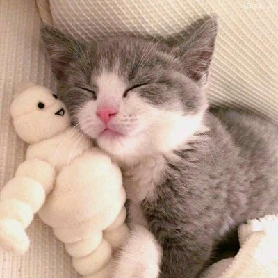 ����/��ͷ�����������յ�С������~