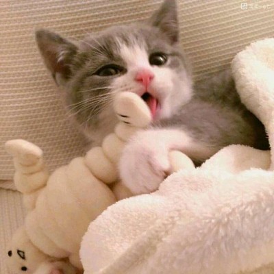 ����/��ͷ�����������յ�С������~