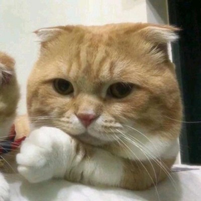 ����/��ͷ�����������յ�С������~