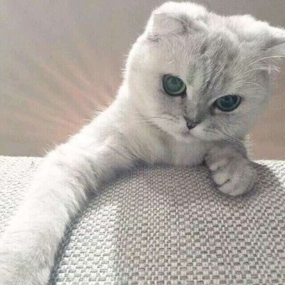 ����/��ͷ�����������յ�С������~