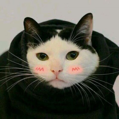 ����/��ͷ�����������յ�С������~