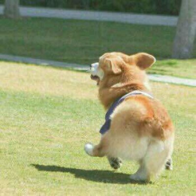 ����/��ͷ�����������յ�С������~