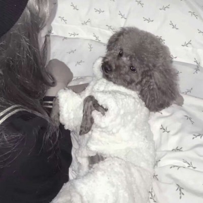 δ�������һ������