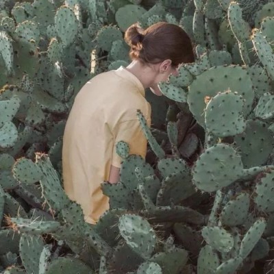 ��ϲ����ѽ����֪����