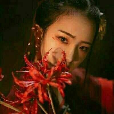 �̾������ Ӣ�����������ɽ����������