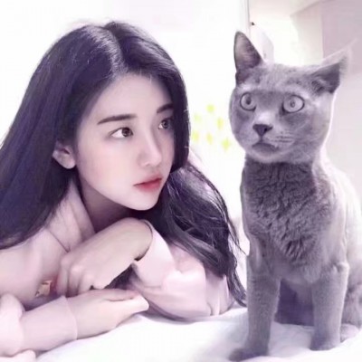 ��_ľĿ�����