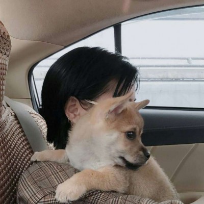 Ůͷ �� ��Դ���� ��ɾ