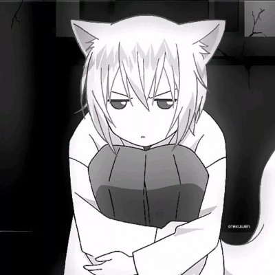 �ڰ׶�����ͷ-��