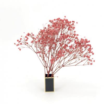 ����ӵ��һ�������Ļ�