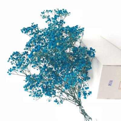 ����ӵ��һ�������Ļ�