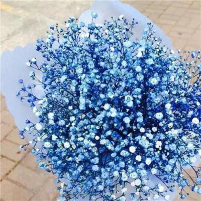 ����ӵ��һ�������Ļ�