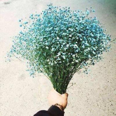 ����ӵ��һ�������Ļ�