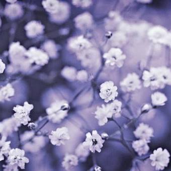 ����ӵ��һ�������Ļ�