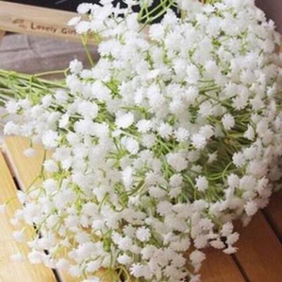 ����ӵ��һ�������Ļ�