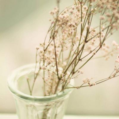 ����ӵ��һ�������Ļ�