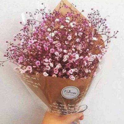 ����ӵ��һ�������Ļ�