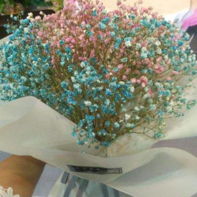 ����ӵ��һ�������Ļ�