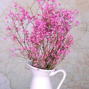 ����ӵ��һ�������Ļ�