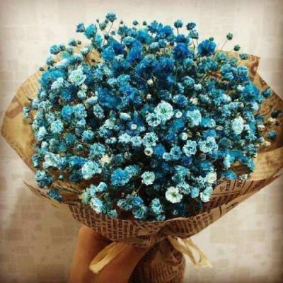 ����ӵ��һ�������Ļ�