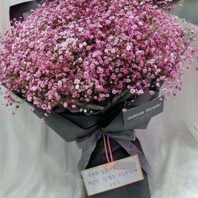 ����ӵ��һ�������Ļ�